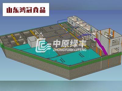 山东鸿冠食品2000m³/d屠宰肉加工废水处理工程